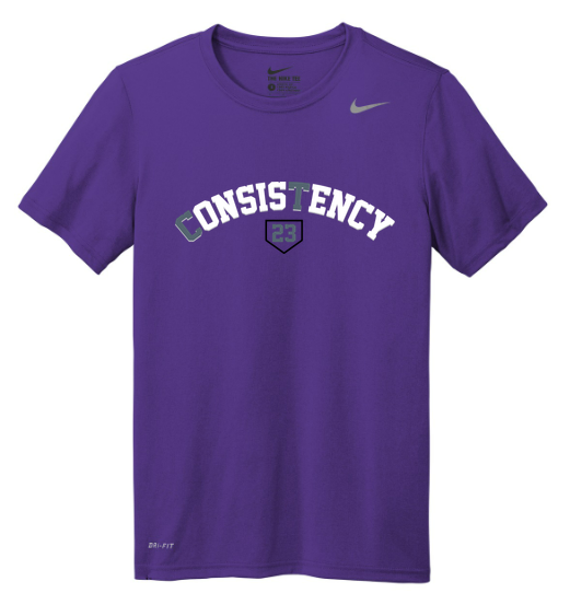 Nike Team rLegend Tee