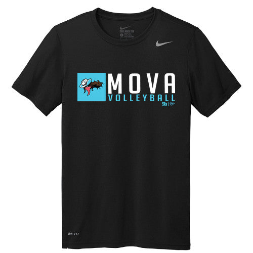 Nike Team rLegend Tee