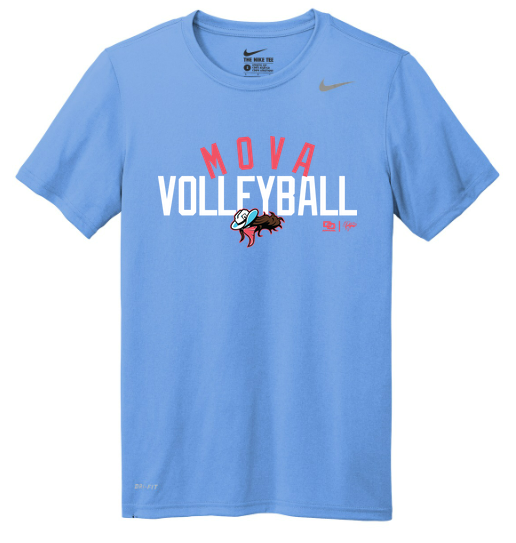 Nike Team rLegend Tee