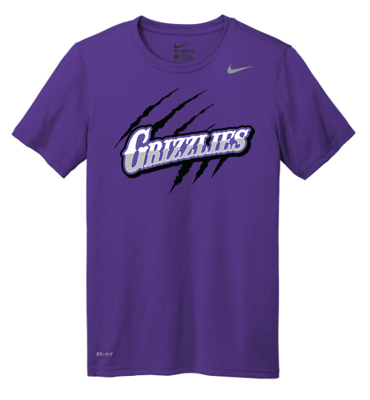Nike Team rLegend Tee