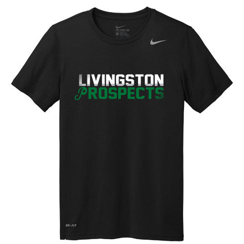 Nike Team rLegend Tee