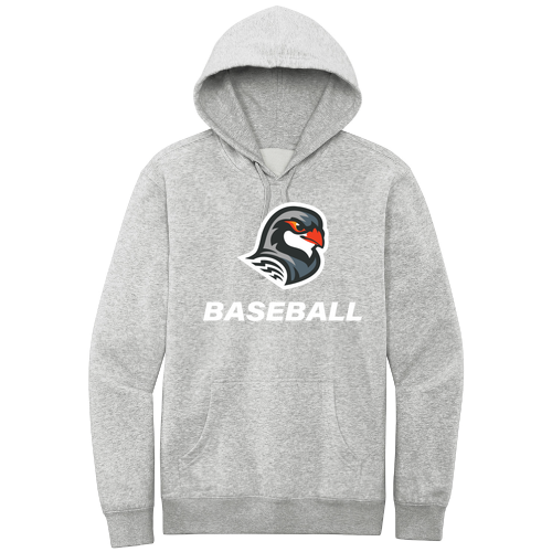 Softstyle Fleece Hoodie