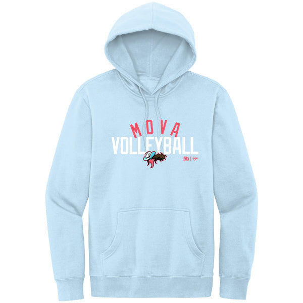 Softstyle Fleece Hoodie